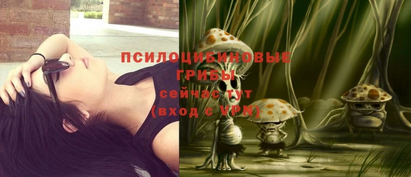 соль ск Верхний Тагил